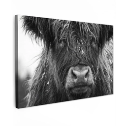 Schotse hooglander - Zwart - Wit - Sneeuwvlokken Tuinposter op houten frame 2 cm dik klein -3d