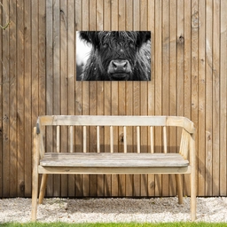 Schotse hooglander - Zwart - Wit - Sneeuwvlokken Tuinposter op houten frame 2 cm dik klein -sfeer4