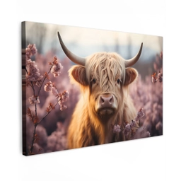 Schotse hooglander - Lente - Hooglanden canvas 2cm klein -z3d
