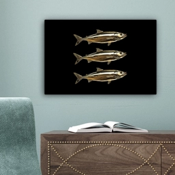 Vissen - Goud - Zwart canvas 2cm klein -sfeer4