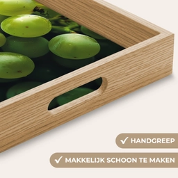 Druiven - Tros - Groen Dienblad Rechthoek middel -USP_HandgreepNL