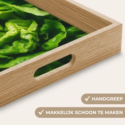 Groente - Sla - Groen Dienblad Rechthoek middel -USP_HandgreepNL