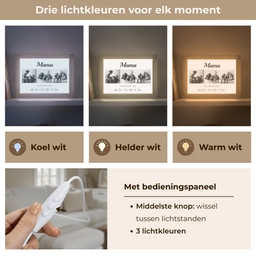 Mama - Fotocollage - 3 Foto's Light Box met kabel (Tafellamp) klein -USP_lichtkleurNL