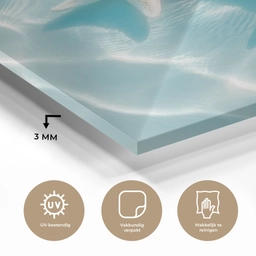 Zeesterren - Golvend water - Rustgevend plexiglas 5mm klein -sfeer2