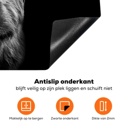Schotse Hooglander - Horens - Zwart - Wit - Koe - Wild - Dieren Inductie beschermer vinyl 3mm klein -zzzzzzz-td-onderkant