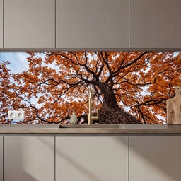 Boom - Bladerdak - Herfst - Oranje - Sfeervol keuken achterwand 2 middel zz_3dshopping