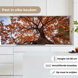 Boom - Bladerdak - Herfst - Oranje - Sfeervol keuken achterwand 2 middel -sfeer4_NL