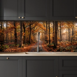 Bospad - Herfstbos - Bladeren - Oranje - Nostalgisch keuken achterwand 2 middel -sfeer1