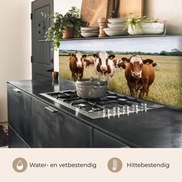 Koeien - Portret - Weide - Boerderij - Nieuwsgierig keuken achterwand 2 middel -usp_NL