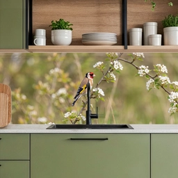 Putter - Bloesem - Lente - Natuur - Kleurrijk keuken achterwand 2 middel -sfeer3
