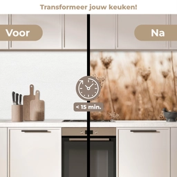 Schermbloem - Droogbloem - Winter - Beige - Minimalistisch keuken achterwand 2 middel -voor-na2_NL