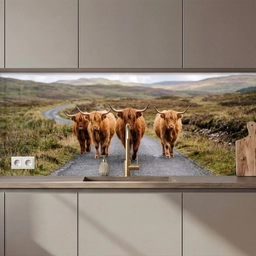 Schotse Hooglanders - Weg - Landschap - Kudde keuken achterwand 2 middel zz_3dshopping