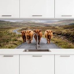 Schotse Hooglanders - Weg - Landschap - Kudde keuken achterwand 2 middel -3d