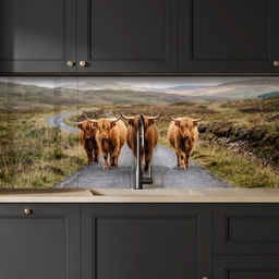 Schotse Hooglanders - Weg - Landschap - Kudde keuken achterwand 2 middel -sfeer1