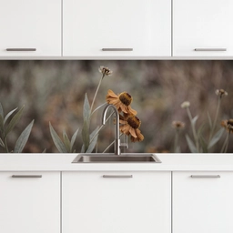 Zonnehoed - Droogbloemen - Geel - Warm keuken achterwand 2 middel -3d