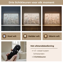 Bloemen - Roze - Modern - Beige Light Box met batterij (Wandlamp) middel -USP_lichtkleurNL