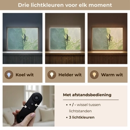 Hagedis - Blad - Nerven - Groen Light Box met batterij (Wandlamp) middel -USP_lichtkleurNL