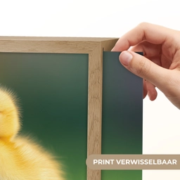 Kuiken - Eend - Geel - Gras Light Box met batterij (Wandlamp kind) middel -USP_websiteprintNL