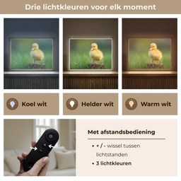 Kuiken - Eend - Geel - Gras Light Box met batterij (Wandlamp kind) middel -USP_lichtkleurNL