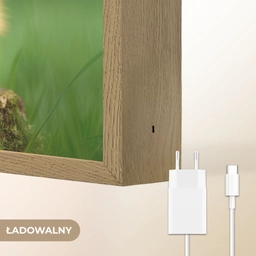 Kuiken - Eend - Geel - Gras Light Box met batterij (Wandlamp kind) middel -USP_websiteoplaadbaarNL