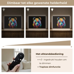 Panda - Dieren - Kleur - Verf - Zwart Light Box met batterij (Wandlamp kind) middel -USP_dimbaarNL