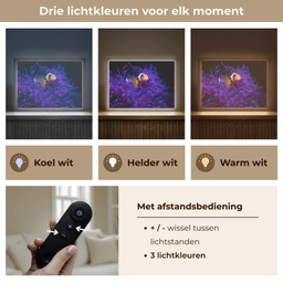 Koraal - Vis - Oranje - Zee Light Box met batterij (Wandlamp) middel -USP_lichtkleurNL