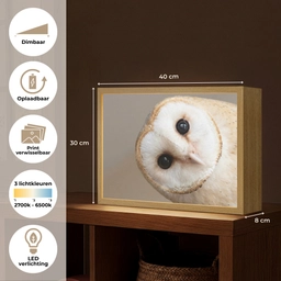 Uil - Bruin - Wit Light Box met batterij (Wandlamp) middel -USP_websiteoverzichtNL