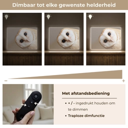 Uil - Bruin - Wit Light Box met batterij (Wandlamp) middel -USP_dimbaarNL