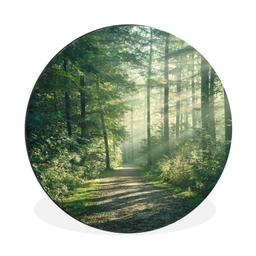 Bos - Pad - Zon - Bomen - Groen - Natuur Wandcirkel aluminium klein -3d
