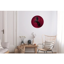 Hengst - Steigert - Rood Wandcirkel aluminium klein -woonkamer