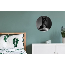 Paard - Bord - Pasta - Tafelkleed - Zwart Wit - Dieren Wandcirkel aluminium klein -slaapkamer