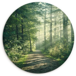 Bos - Pad - Zon - Bomen - Groen - Natuur Wandcirkel kunststof plaat 5mm dik klein -3d