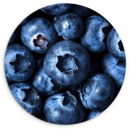 Bessen - Blauw - Fruit Wandcirkel plexiglas klein -3d