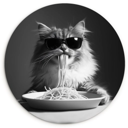Langharige kat - Zonnebril - Spaghetti - Humor - Zwart - wit Wandcirkel plexiglas klein -3d