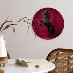 Hengst - Steigert - Rood Wandcirkel kunststof plaat 5mm dik klein -sfeer4