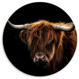 Schotse Hooglander - Horens - Zwart - Dieren - Natuur - Wild - Koe Wandcirkel kunststof plaat 5mm dik klein -3d