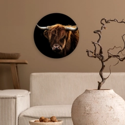 Schotse Hooglander - Horens - Zwart - Dieren - Natuur - Wild - Koe Wandcirkel kunststof plaat 5mm dik klein -sfeer1