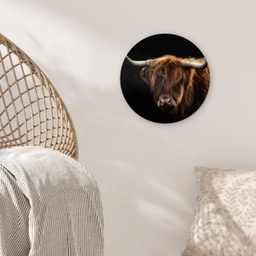 Schotse Hooglander - Horens - Zwart - Dieren - Natuur - Wild - Koe Wandcirkel kunststof plaat 5mm dik klein -sfeer5