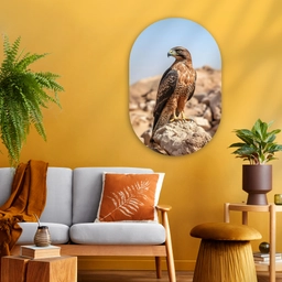 Valk - Vogel - Rots - Macht Wandcirkel Ovaal Glas middel -sfeer4