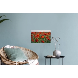 Bloemen - Klaprozen - Natuur - Rood Muursticker klein -plant