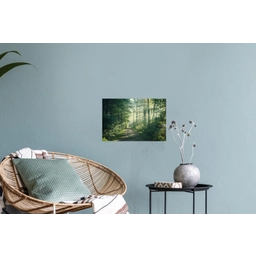 Bos - Pad - Zon - Bomen - Groen - Natuur Muursticker klein -plant