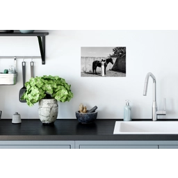 Vrouw - Paard - Artistiek Muursticker klein -keuken