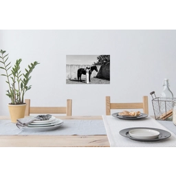 Vrouw - Paard - Artistiek Muursticker klein -eettafel