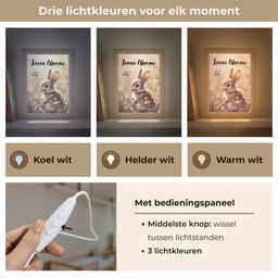 Konijntje - Bruin - Bloemen - Vlinders Light Box met kabel (Kinderlampje) klein -USP_lichtkleurNL