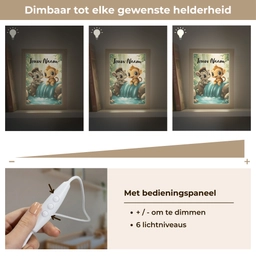 Zebra - Aapje - Waterval - Rotsen Light Box met kabel (Kinderlampje) klein -USP_dimbaarNL