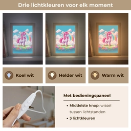 Unicorn - Meisjes - Bloemen - Regenboog - Eenhoorn Light Box met kabel klein -USP_lichtkleurNL