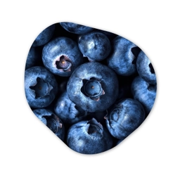 Bessen - Blauw - Fruit Wandcirkel Organisch Aluminium middel -3d