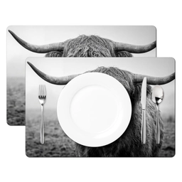 Schotse hooglander - Zwart - Wit - Gras Placemat vinyl groot -zzsfeer2_Kitchenyeah-website