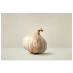 Knoflook - Natuurlijk - Beige poster papier klein -3d