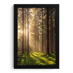 Bos - Gras - Zonlicht fotolijst zwart zonder passe partout klein -3d